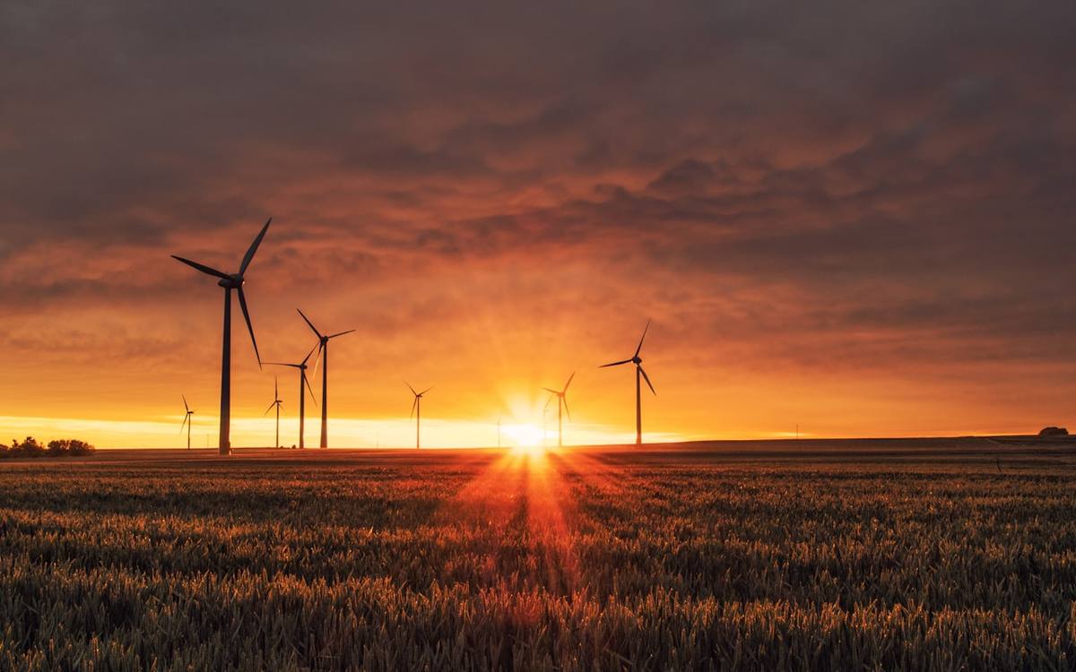 Wind turbines at sunset representing natural resources support